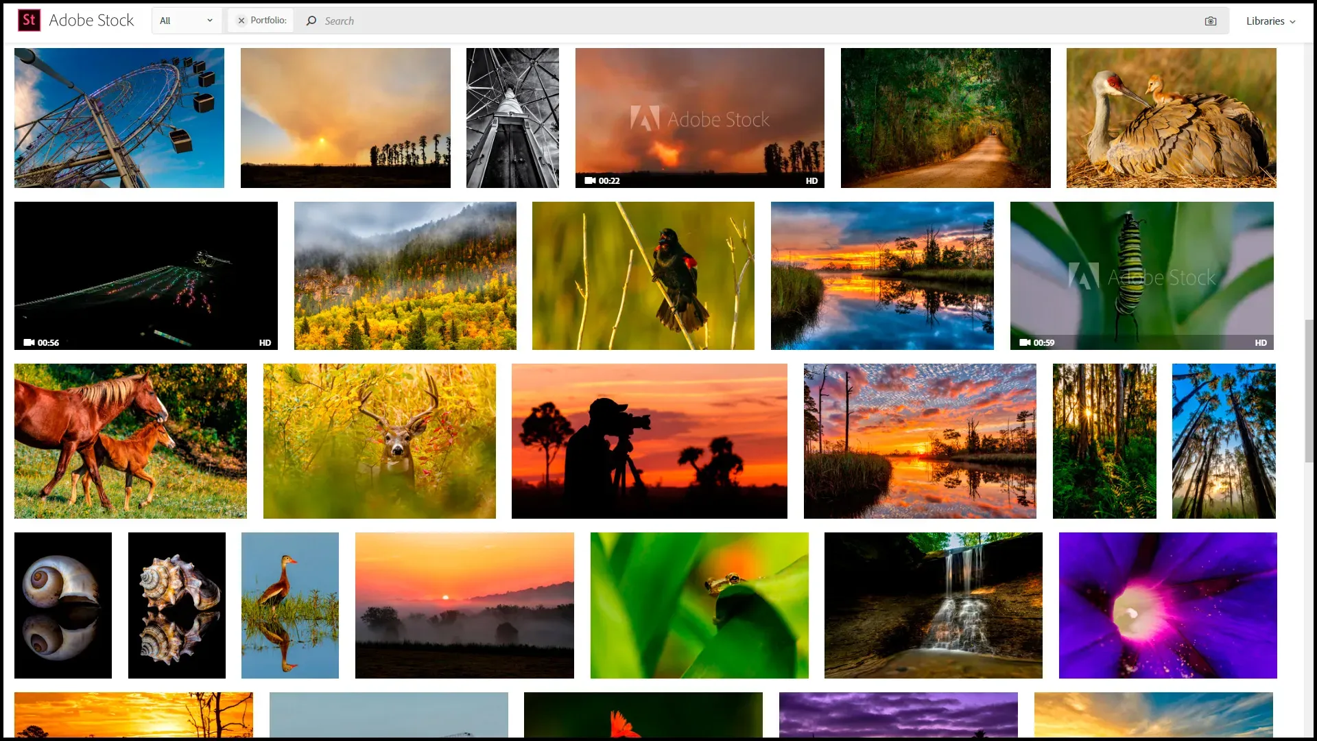 Adobe-Stock-official.webp
