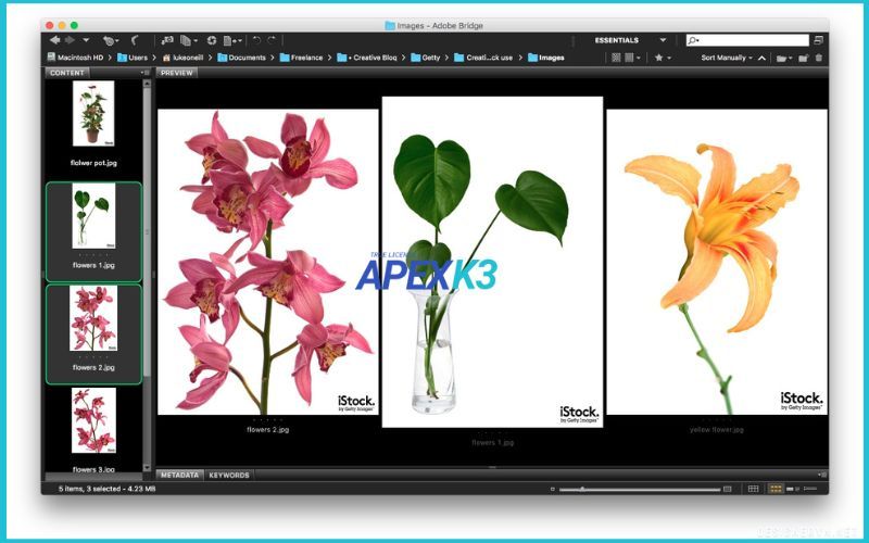 cach-nhap-va-su-dung-anh-stock-trong-photoshop-5.jpg