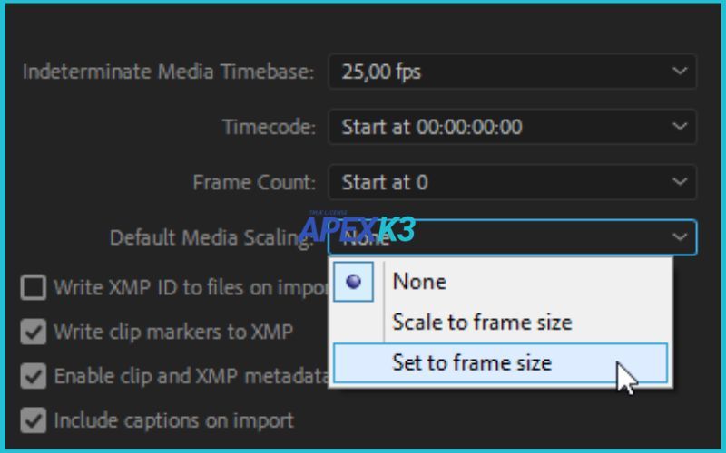 set-to-frame-size-premiere-4.jpg
