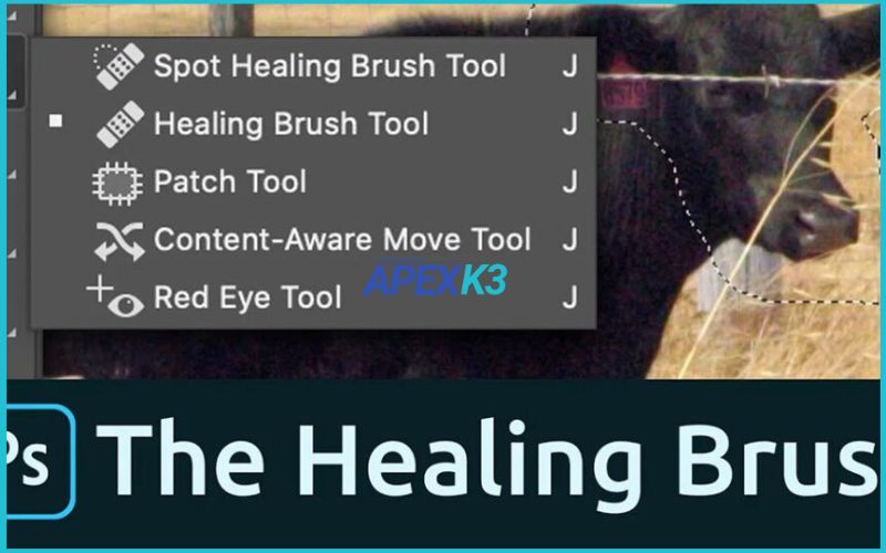 spot-healing-brush-tool-2.jpg